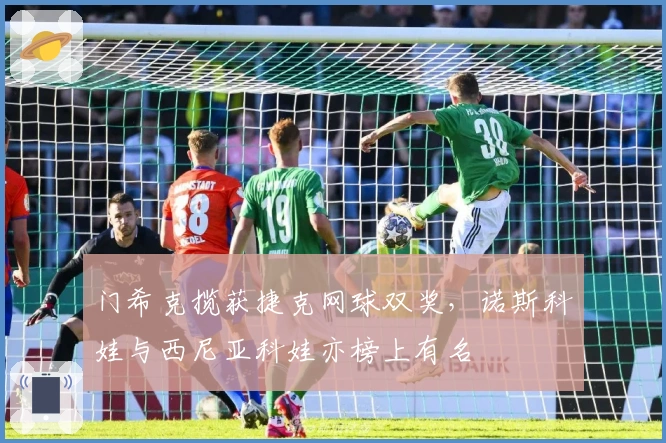 门希克揽获捷克网球双奖，诺斯科娃与西尼亚科娃亦榜上有名